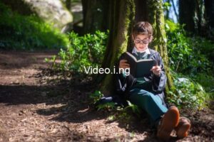 The Magic Faraway Tree Review:  A Kooky Fantasy That Refuses to Grow Up